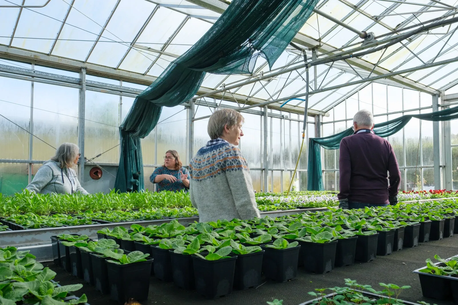 Gardeners walk inside a glasshouse