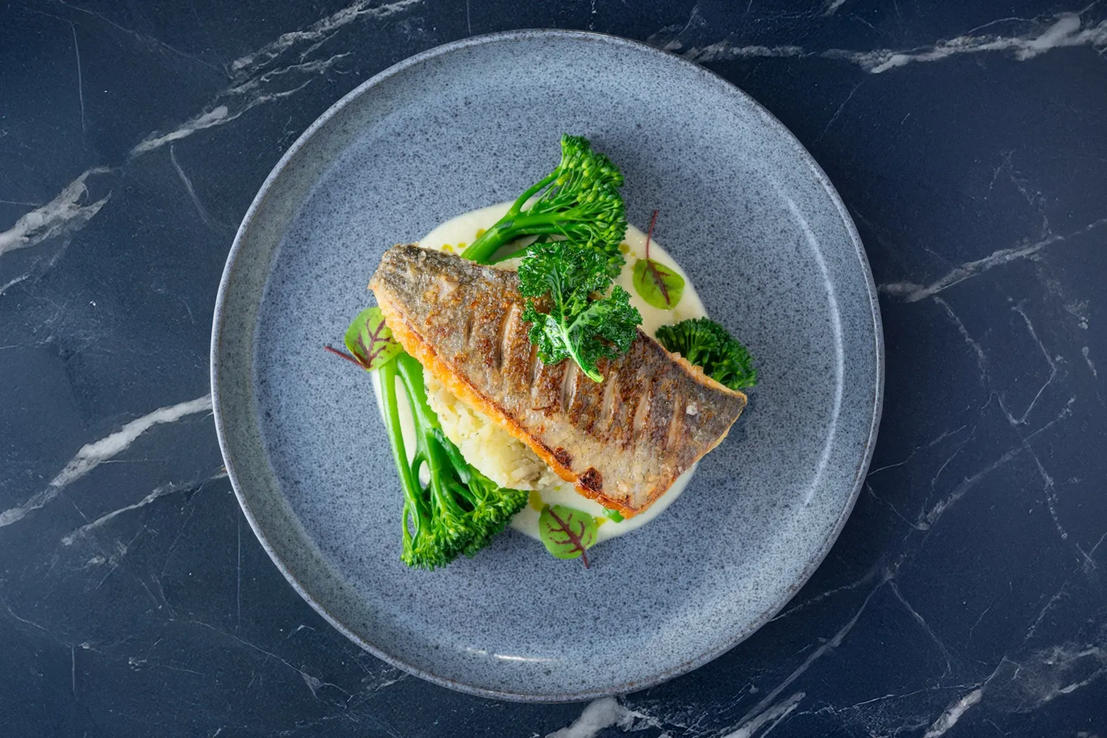 Pan seared Brixham Sea Bass and celeriac puree