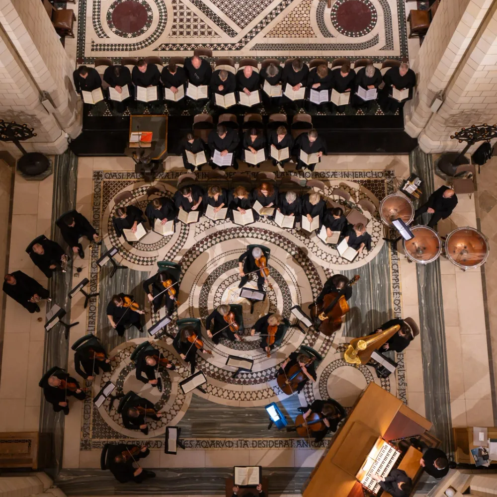 Musicians