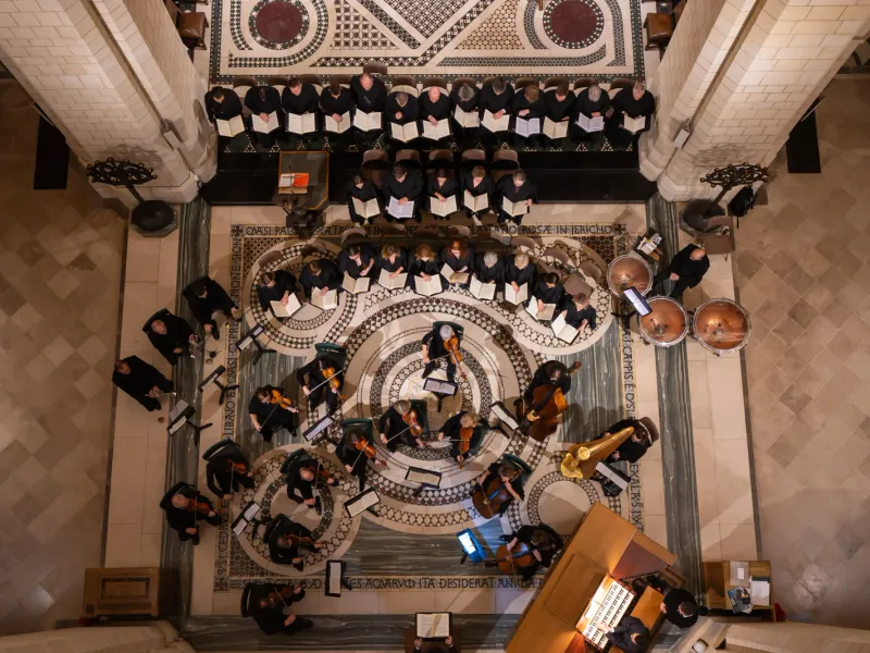 Musicians